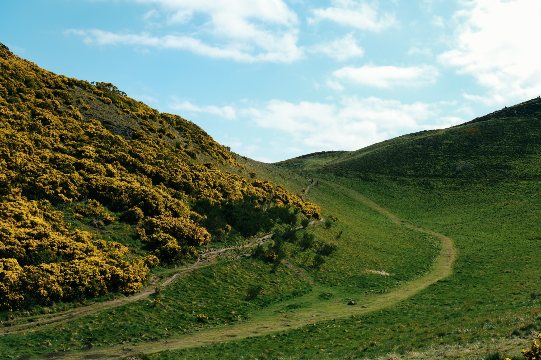 Green hills beneath a bright blue sky